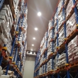 Top 10 Công Ty Nhập Khẩu Thịt Đông Lạnh Hồ Chí Minh Uy Tín