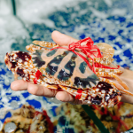 Ghẹ đỏ sống ngon chắc thịt size 4-5 con/kg