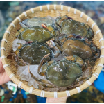 Cua lột đông lạnh siêu ngon size 10-12 con/kg