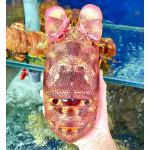 Tôm mũ ni đỏ (tôm vỗ) sống 6-7 con/kg