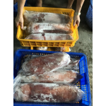 Mực lá đại dương đông lạnh siêu to size 3-4 kg/con