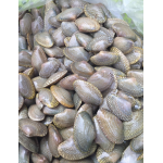 Ngao hoa (sò lụa) sống size 50-60 con/kg