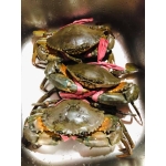 Cua cốm gạch (cua 2 da) tuyển chọn loại VIP size 200-300 gr/con