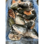 Đầu cá hồi tươi sống nhập khẩu ngon và bổ dưỡng 700-900 gr