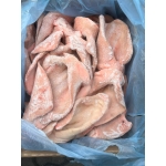 Tai heo Dadyma nhập khẩu Tây Ban Nha