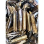 Ốc móng tay thiên nhiên sống thịt giòn, ngọt 15-20 con/kg