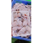 Ếch thiên nhiên sống làm lột da, giá tốt 4-5 con/kg