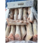 Dựng heo sau BeCambell nhập khẩu Úc