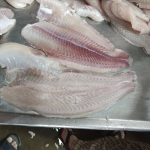 Cá saba phi lê rút xương đông lạnh Gói 500gr