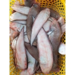 Cá lưỡi trâu tươi mới đánh bắt làm sạch 7-8 con/kg