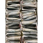 Cá nục đã làm sạch tươi rói, giá tốt 4-6 con/kg