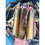 Ốc móng tay thiên nhiên sống giá tốt 20-30 con/kg