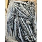 Cá thu đao đảm bảo ngon và an toàn Loại 1