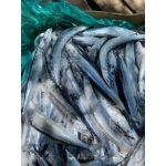 Cá thu đao nhập khẩu an toàn, giá tốt Loại 1