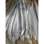 Cá hố tươi nguyên con đã làm sạch 500-700 gr/con