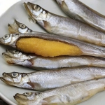 Cá trứng đông lạnh ngon, hấp dẫn Loại lớn