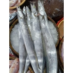 Cá hố thiên nhiên làm sạch mới đánh bắt 300-500 gr/con