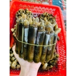 Ốc móng tay thiên nhiên sống chất lượng 30-40 con/kg