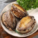 Bào ngư Hàn Quốc viền đen sống từ thiên nhiên 9-10 con/kg