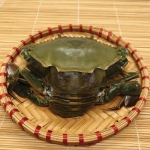 Cua cốm (cua 2 da) loại VIP siêu ngon size 140-190 gr/con