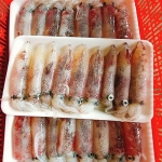 Mực trứng đông lạnh loại 1 size 30-40 con/kg