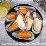 Vẹm xanh nửa vỏ đông lạnh nửa vỏ size 20-25 con/kg