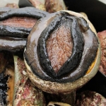 Bào ngư Úc viền đen sống, ngon thượng hạng 9-10 con/kg