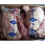 Bắp Bò Úc Kilcoy