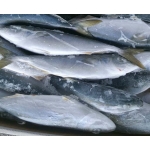 Cá Cam đông lạnh Nhật Bản