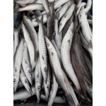 Cá xương xanh nguyên con tươi 1 kg/con