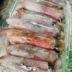 Mực ống tươi mới từ thiên nhiên size 3-4 con/kg