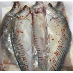 Cá thát lát (cá thác lác) rút xương nguyên con