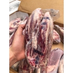 Bắp hoa bò Canada Excel conical (NK)