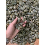 Ngao hoa (sò lụa) sống size 40-50 con/kg