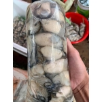 Thịt hàu sữa (hào sữa) thơm ngon và an toàn Gói 500gr