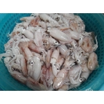 Mực sim đông lạnh