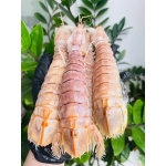 Tôm tít (bề bề) đông lạnh nguyên con size 10-12 con/kg