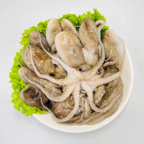 Bạch tuộc tươi sống giá tốt size 4-6 con/kg