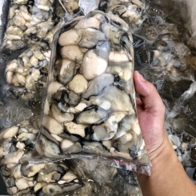 Ruột hàu sữa (hào sữa) tươi sống Gói 500gr
