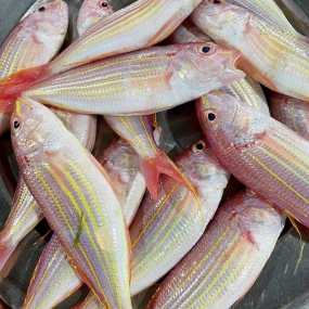 Cá phèn tươi loại 1 đã làm sạch, tươi rói 4-5 con/kg