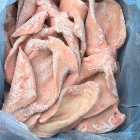 Tai heo Dadyma nhập khẩu Tây Ban Nha