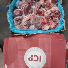 Tim heo ICP nhập khẩu Tây Ban Nha