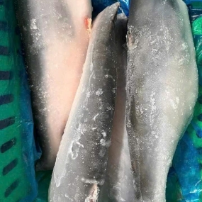 Cá saba đông lạnh loại 1 size 600-800 gr/con