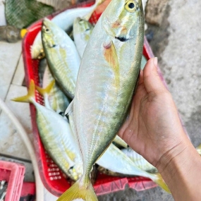 Cá ngân tươi đã làm sạch, giá tốt hôm nay 5-6 con/kg