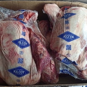Bắp Bò Úc Kilcoy