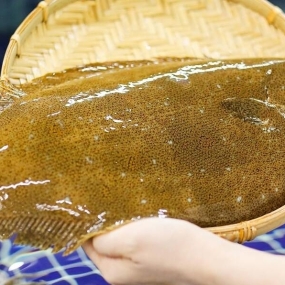 Cá thờn bơn sống nhập khẩu 2kg/con