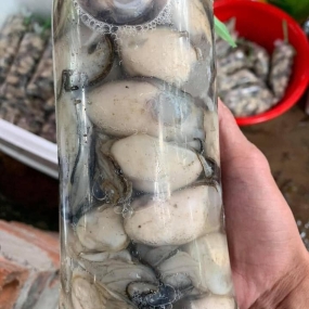 Thịt hàu sữa (hào sữa) thơm ngon và an toàn Gói 500gr