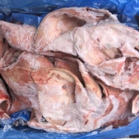 Tai heo Fleischhof nhập khẩu Áo