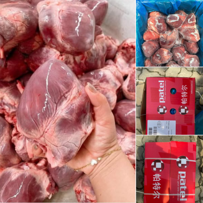 Tim heo Patel nhập khẩu Tây Ban Nha
