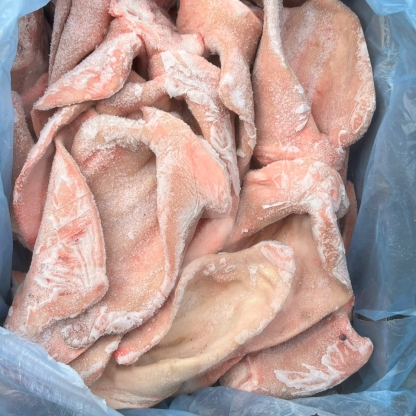 Tai heo Dadyma nhập khẩu Tây Ban Nha